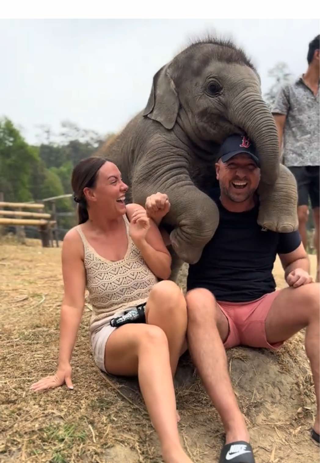 #babyelephant #thailand #chiangmai #chiangmaielephantsanctuary #getyourguide #funnyanimals #videoviral #nature #funnyanimals #funnytiktok #fyp #scottish #entertainment #cuteanimals 