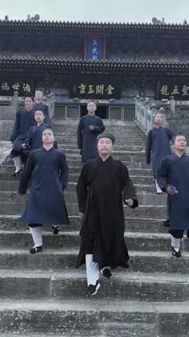 This is our sect of immortal cultivation - Taoism#fyp #kungfu #chinese #武术 #道教 
