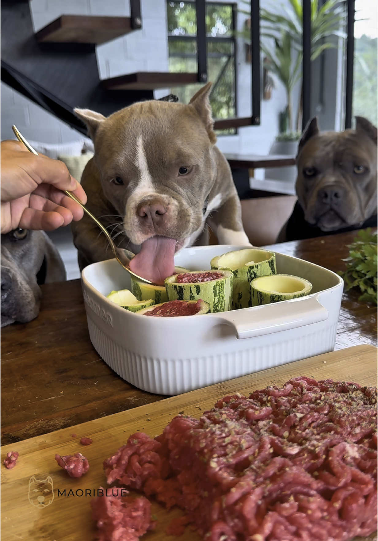 Abobrinha Recheada com Carne 🐾😋