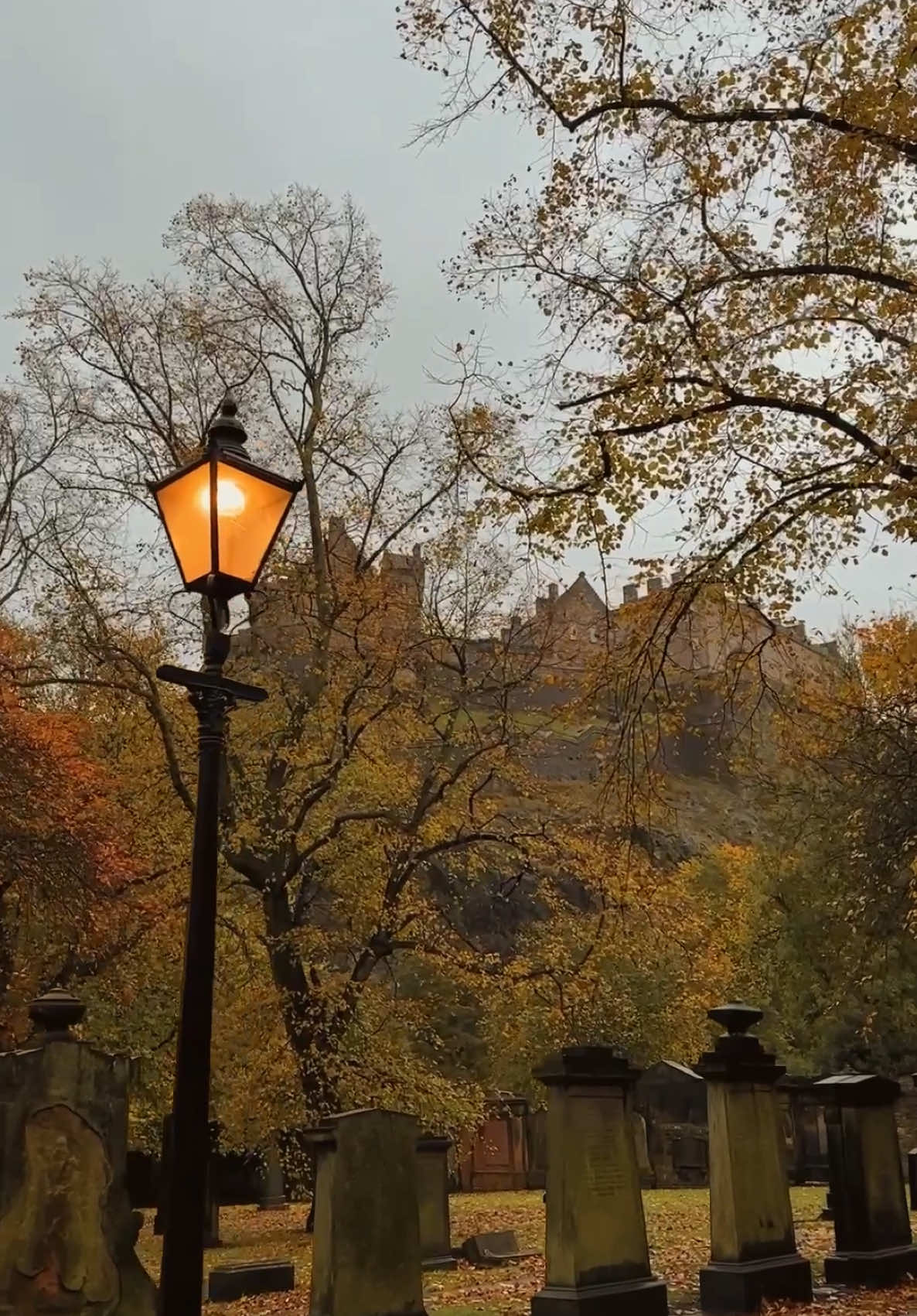 Sign in the comments ✍️ #edinburgh #Scotland #autumn #fall 