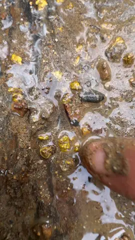 Yt , Facebook 👉🏻 amrin prospecting VA Gold Prospecting #goldprospecting #goldnugget #goldpanning #findinggold #or…