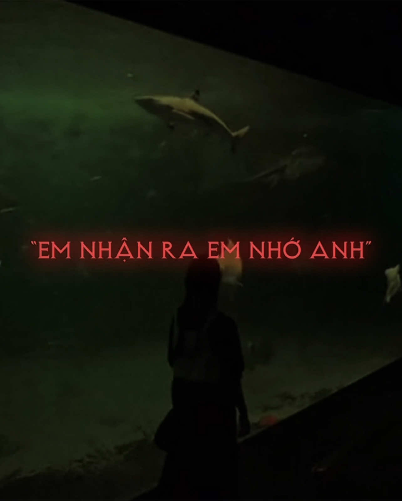 “Trong phút giây mỏi mệt em nhận ra em nhớ anh” #nguytoan #xh #nhachaymoingay 