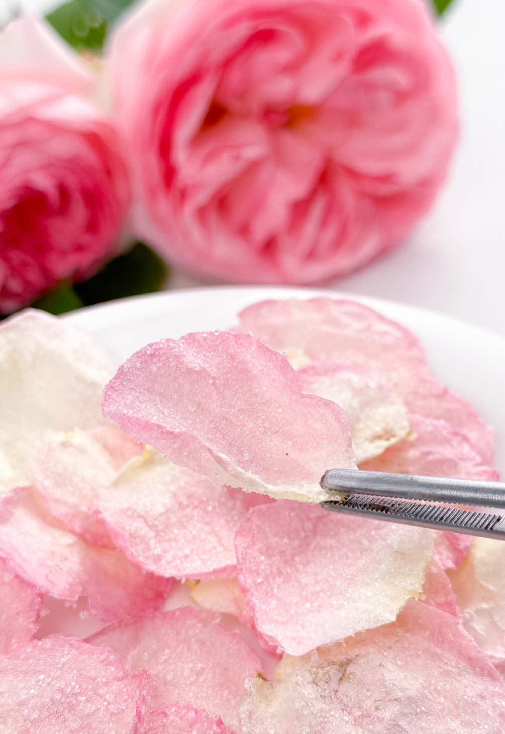 Candied rose's petals 🌹  Recipe 👇🏻 • Ingredients: 2 roses from the garden (without pesticides) - the variety you see in the video is called 
