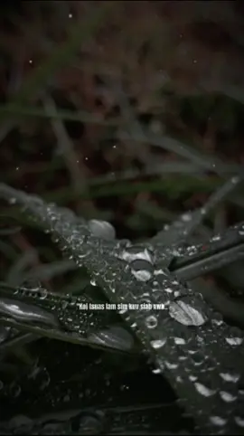 #CapCut Mẫu Capcut - Tej zaum koj yeej tsis hlub kuv tiag.. #minnminhh #minlumi 