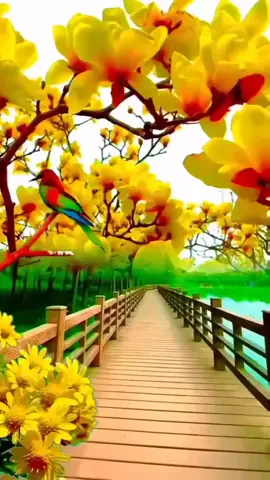 Cảnh đẹp thiên nhiên thơ mộng #traveltiktok #funnyvideo #tanland 