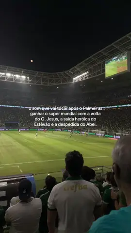 sonho. #palmeiras #fyyyyyyyyyyyyyyyy #fyp #fypp #foryoupage ib?