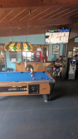 Safety! #billiards #fyp