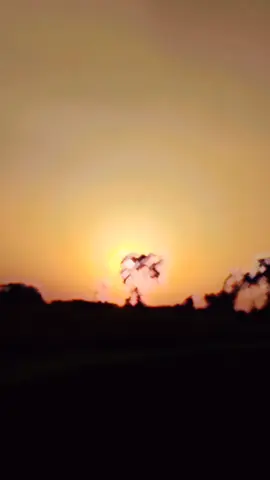 😈😈🔥👑💯💪😎 brand 