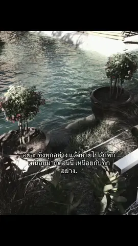 #เธรด #เปิดการมองเห็นเถอะ #fyp 