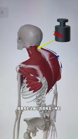 สำหรับคนธรรมดาอย่างเรา การสวมแถบยืดก็เทียบเท่ากับการทำศัลยกรรมพลาสติก#ชุดฟิตเนสผู้หญิง #tiktoksports #ปั้นหุ่น #ออกกําลังกายที่บ้าน #ลดหุ่น #อาหารอร่อย #ร่างกายที่สมบูรณ์แบบ #เทรนเนอร์ #health #ลดความอ้วน #gourmetfoods #beauty #สุขภาพดี #อาหารเลิศรส #คนหลังค่อม 
