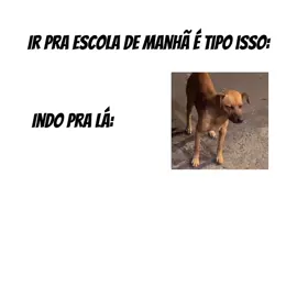 🥱🥱sono do diacho #memebr #meme #fyp #viral_video 