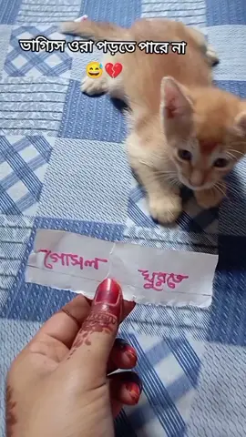 ভাগ্যিস ওরা পড়তে পারে না তা না হলে আমার টাকাগুলো যেত 😄❤️‍🩹#foryouvirlvideo @@ Ordha~Sultan🦋🥀 