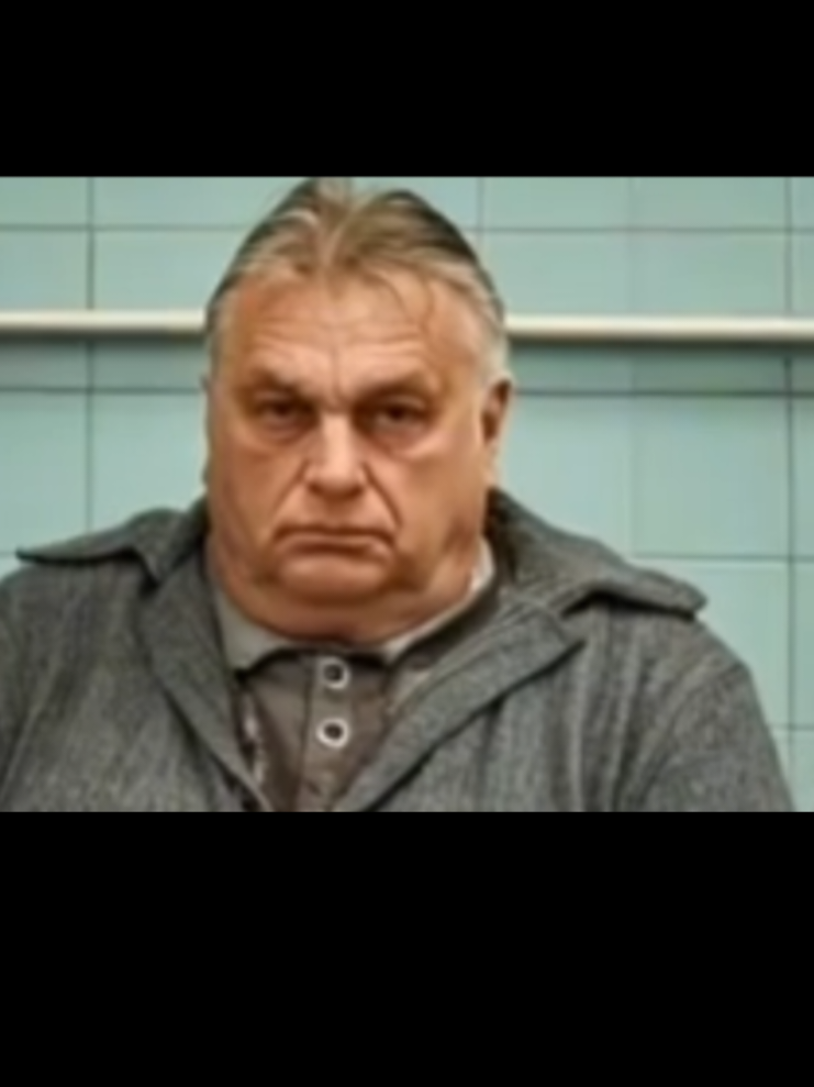 Orbán Viktor ügyvédje.