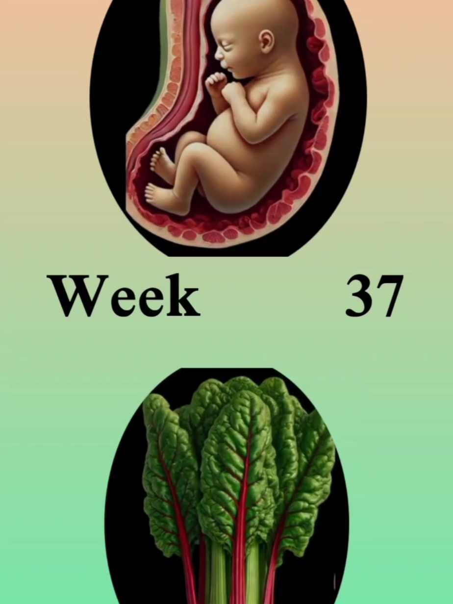 week 30##viral #medical #unfreezemyacount 