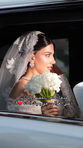 #اكسبلور_مشاهير #اكسبلور #مشاهير_تيك_توك_مشاهير_العرب #نارين_بيوتي #عرس_نارين_بيوتي #عرس #خدها_امانه #خذها_امانه #اكسبلور #هاشتاقات_تيك_توك_العرب #لايك__explore___ #fypシ゚viral🖤tiktok #capcat #اعادة_النشر🔃 #شعب_الصيني_ماله_حل😂😂 #سوريا_تركيا_العراق_السعودية_الكويت #الاردن_فلسطين_العراق_سوريا #العراق🇮🇶 #الخليج_العربي_اردن_عمان_مصر_تونس_المغرب #السعوديه_الرياض_حايل_جده_القصيم_بريده #narinsbeauty #تصميم_فيديوهات🎶🎤🎬 #ترند #تيك_توك 