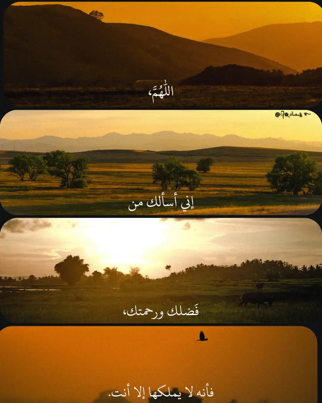 #تصميم_فيديوهات🎶🎤🎬 #رسالة_اليوم #رسالة #اقتباسات #المملكة_العربية_السعودية #اكسبلور #ترند #اكسبلورexplore #الشعب_الصيني_ماله_حل😂😂 #مشاهير_تيك_توك #الكويت #قطر #الامارات #السعودية #عمان #العراق #اليمن #البحرين #المدينة_المنورة #الجزائر #مصر #لبنان #الاردن #foryou #3mad_alshareef 