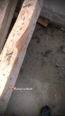 #بدون_هشتاق 