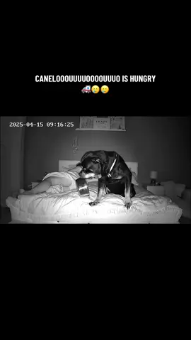 heart attack 🥲😭 #viral #goviralgo #foryou #goviral #trending #foryoupage #fypシ゚ 