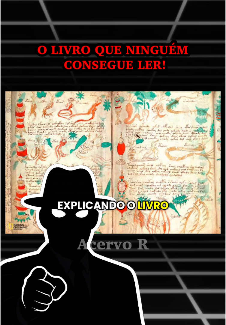 Explicando o manuscrito Voynich, o livro que NINGUÉM consegue ler. Eai, qual teoria você imagina que seja a verdadeira? #manuscritovoynich #voynichmanuscript #misterio #mystery #historia #bizarro #fyp 