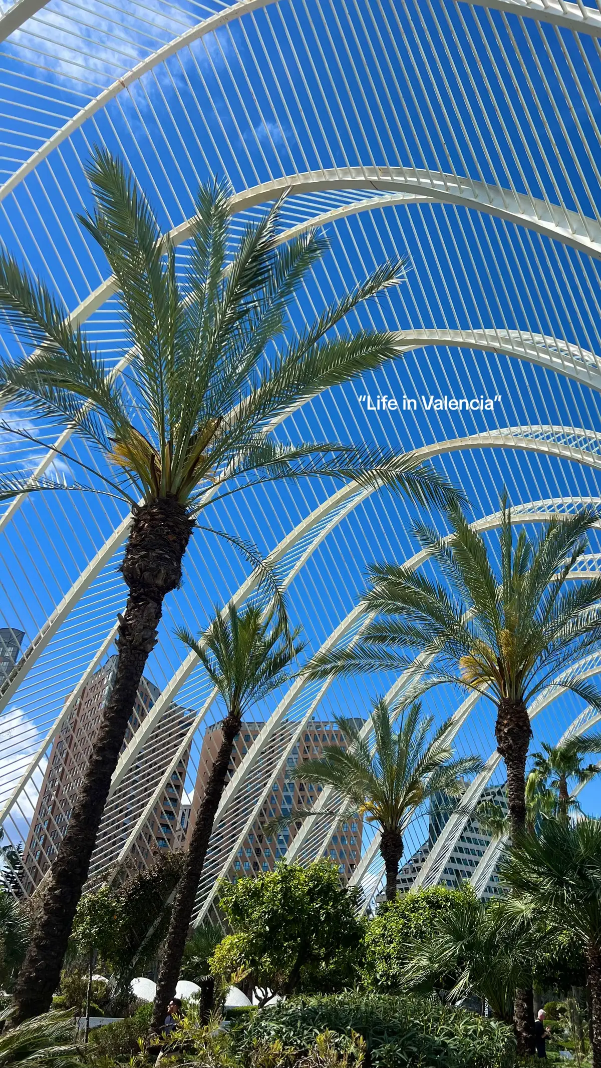 #valencia #valenciaspain #livingabroad #hotspots #hermosa #happyplace #traveltok 
