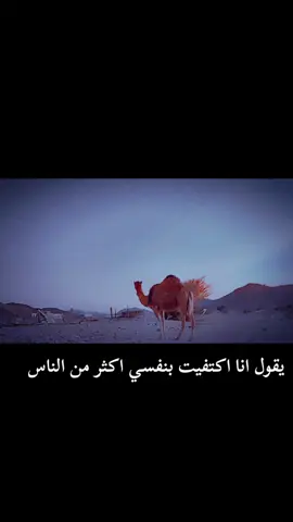 #بوح_شعر #قصيدة_شعر_أبيات #foryou #fyp 