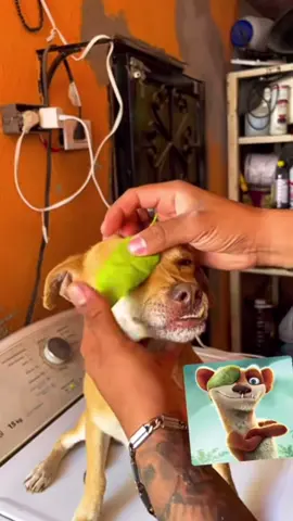 #foryoupage #foryou #fyp #viral #viralvideo #tiktok #satisfyingvideo #asmri  #TikTok - #TikTokCommunity - #TikTokFam - #TikTokDance - #TikTokComedy - #tiktokmusic * - #TikTokArt - #TikTokCreativity #TikTokDesign * - #TikTokFashion - #TikTokBeauty - #tiktoktravel * - #TikTokGaming - #TikTokGamers - #TikTokEsports * - #TikTokLearn - #TikTokEducation - #TikTokKnowledge - #SprayPainting - #StreetArt - #GraffitiArt - #UrbanArt - #MuralArt - #SprayPaintArt - #ArtWithSprayPaint - #SprayCanArt -   - #StreetArt - #GraffitiArt- #UrbanArt- #MuralArt - #SprayPaintArt - #ArtWithSprayPaint   - #UK- #British， #UKLife, #British - #Germany - #German, #Germany #German - #Italy - #Italian, #ItalyLife, #Itali - #Spain - #Spanish, #SpainLife, #Spani - #USA -#USALife, #American - #Canada - #Canadian, #Canada - #Mexico - - #Brazil - #Brazilian, #BrazilLife, #BrazilianCulture - #Argentina - #Argentine, #ArgentinaLife, #ArgentineCulture - #Chile - #Chilean, #ChileLife, #C - #SouthAfrica - #SouthAfrican, #SouthAfricaLife, #SouthAfricanCulture - #Nigeria - - #Egypt - - #Australia - #Australian, #AustraliaLife, #AustralianCulture - #Newzealand - #Newzealand, #NewzealandLife, #NewzealandCulture- #ASMR - #Relaxation - #CalmingSounds - #Whispering - #Tapping #PersonalAttention - #RolePlay - #Triggers - #SleepAid views #PageTurning- #PenTapping- #HairBrushi #Crinklin-- #FYP-#ForYouPage-#Viral - #Trending - #Challenge - #Dance - #LipSync - #Comedy - #Entertainment - #Funny -   -#smiles1113 