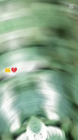 sta yawa lapa dua zama tole wazife♥️