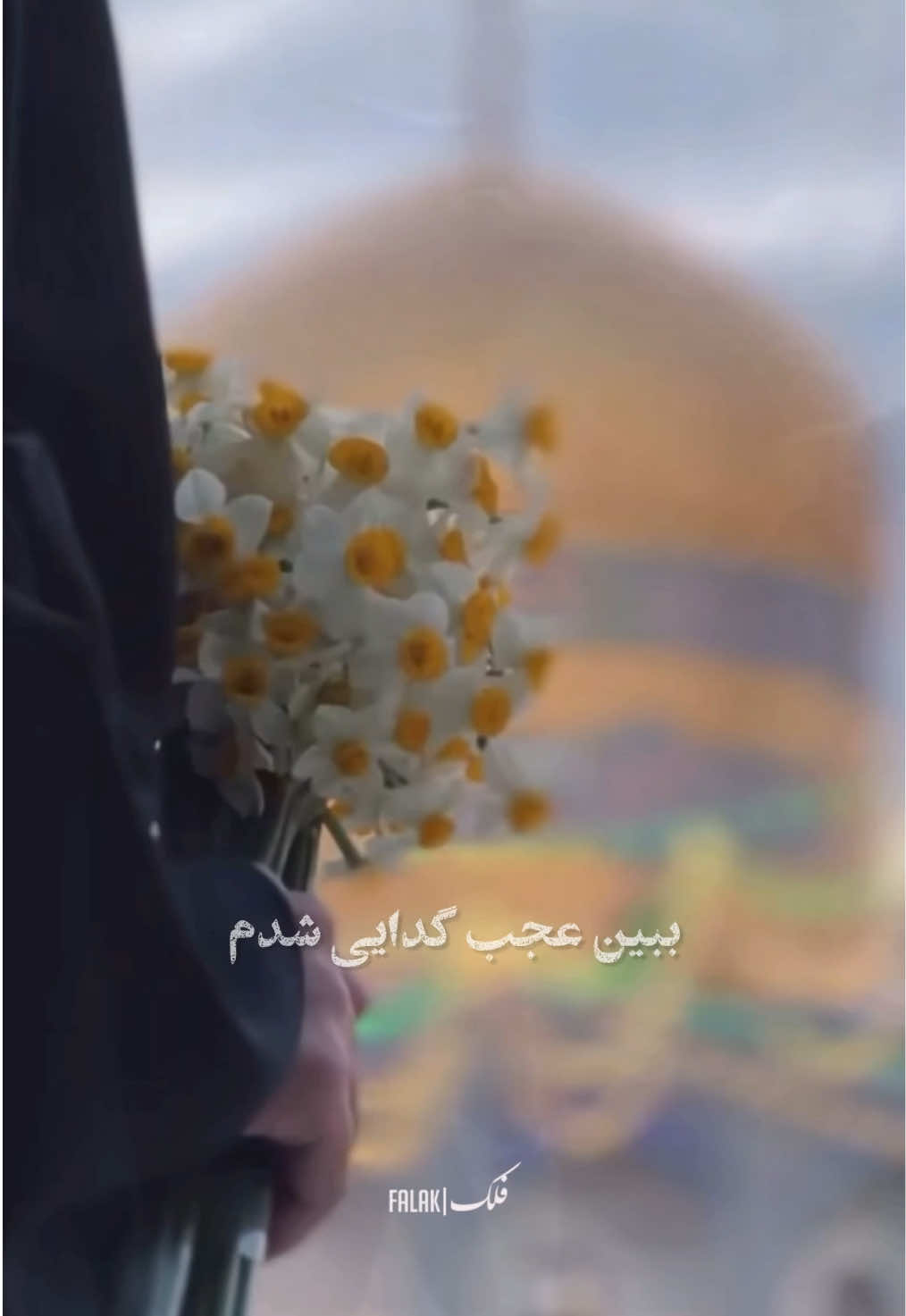 منم امام رضايى شدم|🌻 #viral #like #tiktok #fyp #fypage 