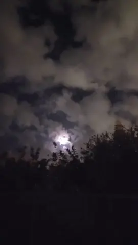 #خالد_عبدالرحمن #Sing_Oldies #شعبي #تصويري📸 