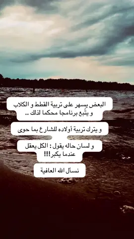 #أبلغكم #السعودية🇸🇦 #المدينة_المنورة 