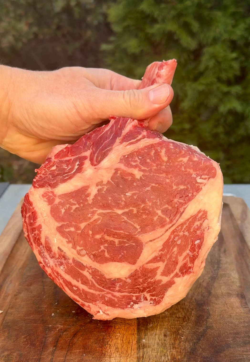 Gimme that 🥩 slice.  Rate that crust and the inside 🤔.  #steakslice #steaklovers #juicysteak #meatsweats #bacusbbq 