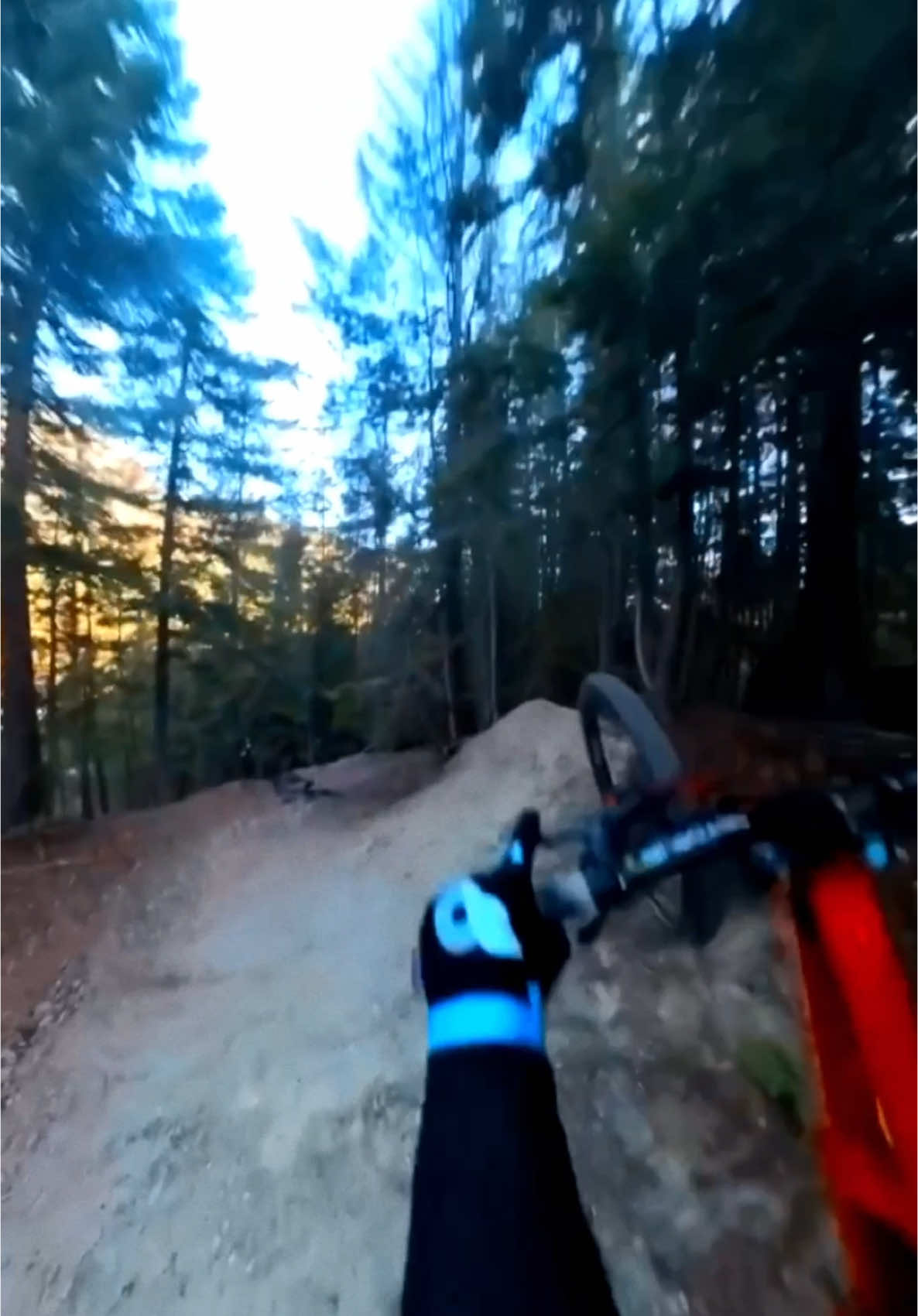 Cette sensation de liberté  #mtb #mountainbike #bikelife #velo #downhill #extremesports 