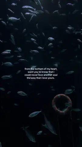 I love you.                                                      #lovequotes #lovequotesforhim#lovequotes#iloveyou#Relationship #relatable #Love#soulmates#soul#Love#lovingyou#lovelanguage#fyp#goviral #relatable #Relationship #love#life#lovelife#lovequotes 