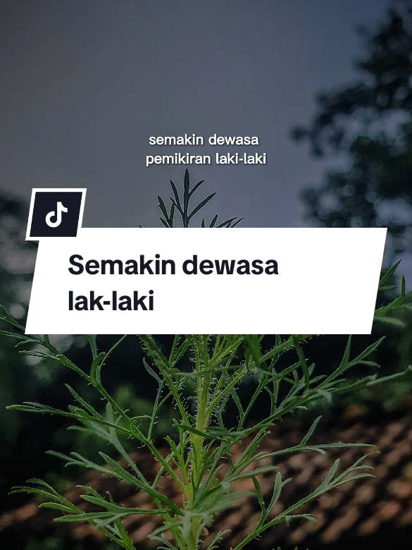 Semakin dewasa pemikiran laki laki #CapCut #quotes #quotestory #tranding #viral #fypシ゚ #fyp #nasehat #motivasihidup #storywa #story #kehidupan #katakata #lakilaki 