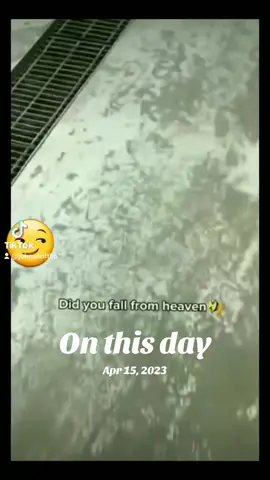 #fyp #foryoupageofficiall #foryou #foryoupage #fypシ #fypシ゚viral #fypage #tictok #tictokvideos #viral #duet #lmao #lmfao #trend #wtf #trending #hilarious #toronto #torontotiktok #viraltiktok #funny #reaction #comedy #parenthumor #stupidshit #lol #🤣 #imdying #messedup #humor #blindreaction #funnytiktok #ohshit #menhumor #womenhumor #Relationship #parentsoftiktok #marrigehumor #OhNo #damage #violation #omg #jesus #joker #gotya #pranks #emotionaldamage #ohhellno #worldstar #waitforit #thatsmyboy #savage #waitaminute #ohsnap #imdead #family #familyhumor #parents #fortheboys #forthemen #menoftiktok #WomenOfTikTok #sheesh #sheeesh #johnsonft86 #johnsonferreira63   #didntexpectthat #onthisday #whatintheworld #holymolly #lordhavemercy #jesuschrist #lordjesus #scarredforlife #worldwide #youtube #imdead #women #hmwomen #share  #sharethis #sharethecare #sharethisvideo #internet #booked #pinched #faceexpression #thatonetherewasaviolation @WE THE NORTH 🇨🇦🇵🇹 