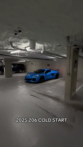 No better car for the price 🤷🏻‍♂️ #z06 #foryou #viral #fyp #corvette #cartok 