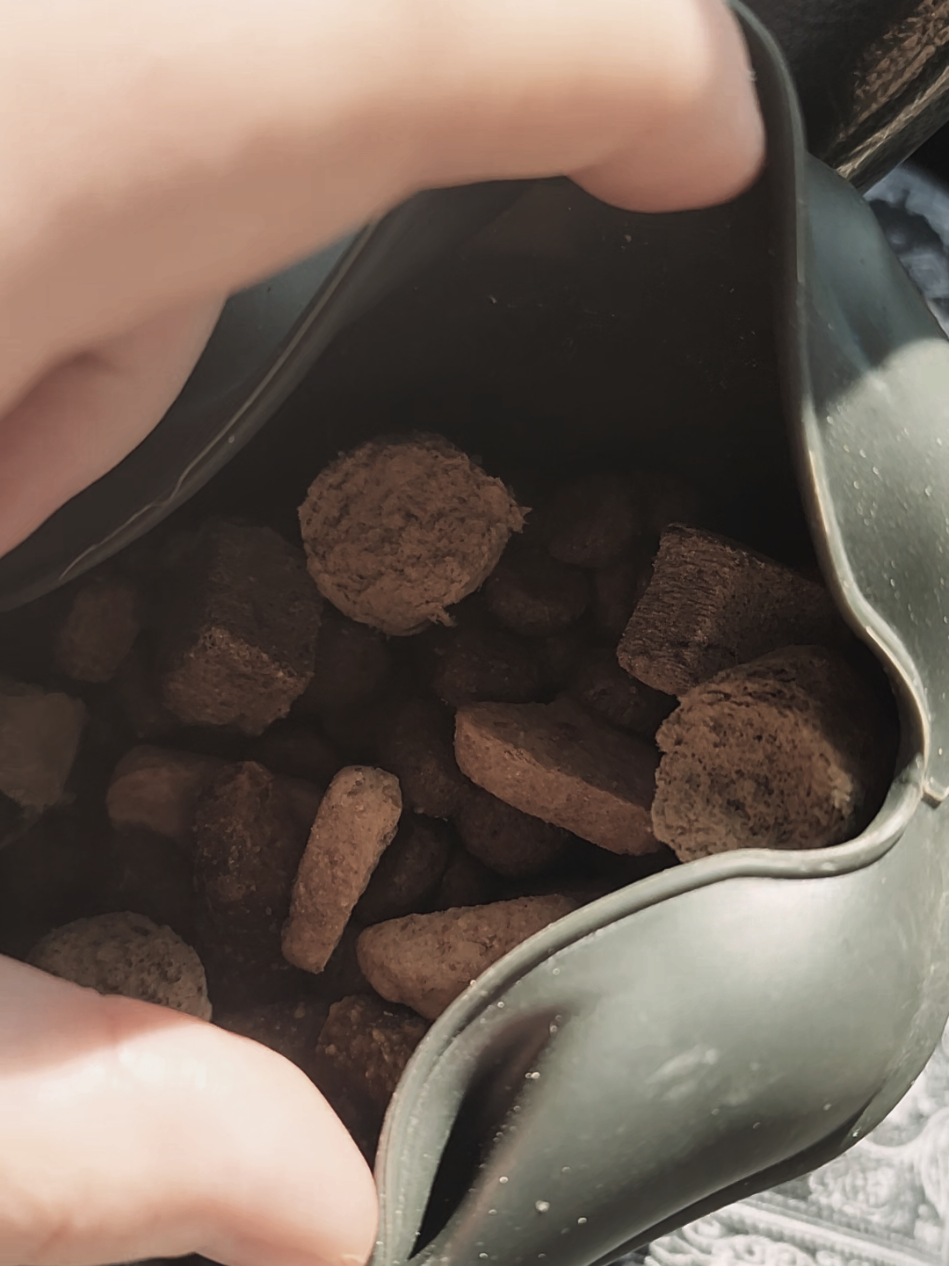 neither is superior, neither is perfect for each individual dog! #dogfood #dogkibble #rawfed #fyp 