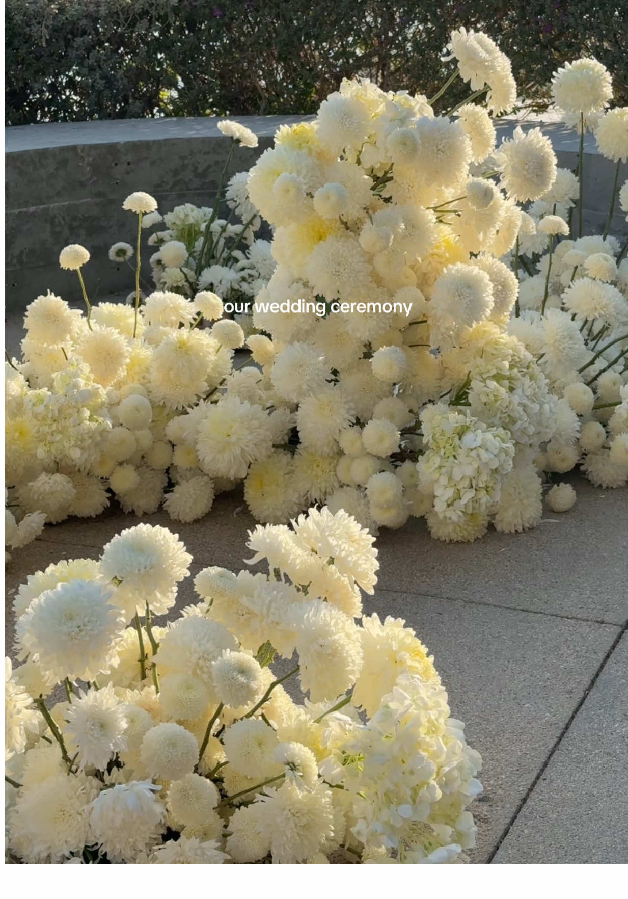 april 12, 2025 — the wedding ceremony of my dreams ♡ a true vision brought to life by our amazing wedding planners. content captured by @FOLLOW THE BRIDE #wedding #weddingday #weddingtiktok #weddingdress #weddingtiktok #weddingvibes #weddinginspo 