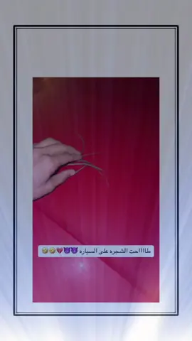 #اكسبلور #explore 