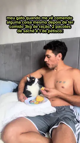 Isso acontece com vocês tbm...🤡🤡  #gato  #gatosengraçados #frajolito #gatosendogato #gatosdobrasil #gatosdeinstagram🐱  #pet