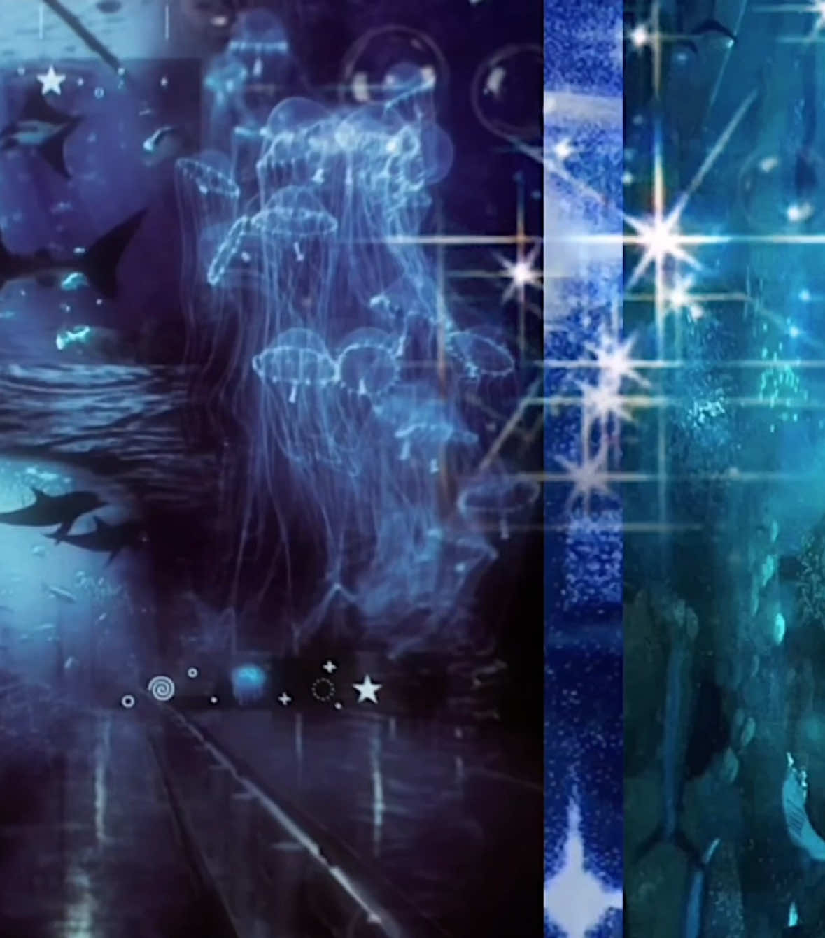 ocean. #moodboard #ocean #oceanlife #sea #sealife #mood #board #fypシ #fyp #blue 