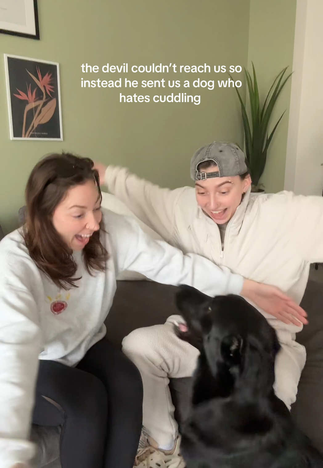 he was supposed to be our therapy pup but now we just need more therapy 🫠❤️ #wlw #lgbt #dog #dogsoftiktok #relatable #couplegoals #fyp #girlfriend 