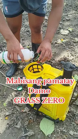 Grass zero PINAKA mabisang pamatay Ng Damo... #grasszero #pamataydamo #mabisangpamataydamo #lasonsadamo #grasszerograsszeroglyphos #masmurasatiktok #fyppppppppppppppppppppppp 