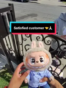 Thanks to all shares likes and comments 🙏🏻🙏🏻 #fyppppppppppppppppppppppp #fyp #labubu #labubuthemonsters #labubuhaveaseat #labubumacarons #labubus #zimomo #offerup #pov #trend #metarayban #flipwithme #popmart 