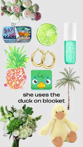 made on shuffles!! 🐥💚 requested by @Lily🌷 #greenscreen #fyp #foryoupage #reposting #blooket #collage #preppy #fypシ #fypシ゚viral #foryourpage #duck 