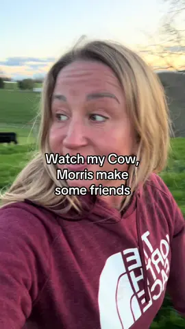 Morris the brave😅