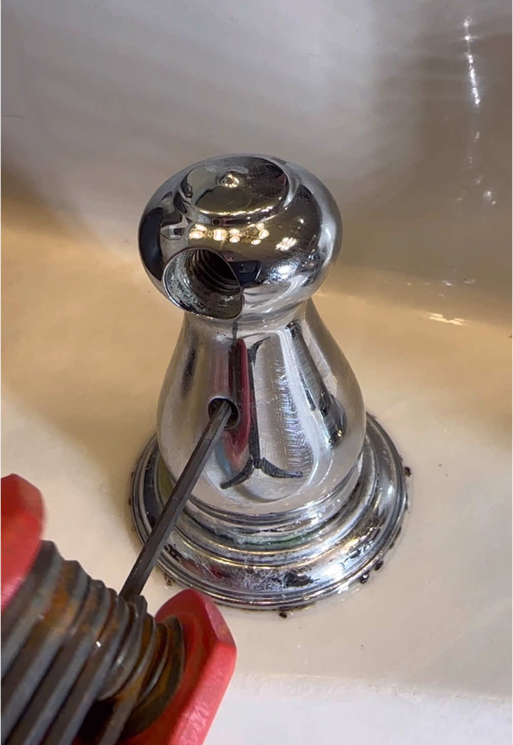 easiest $100 I ever made 