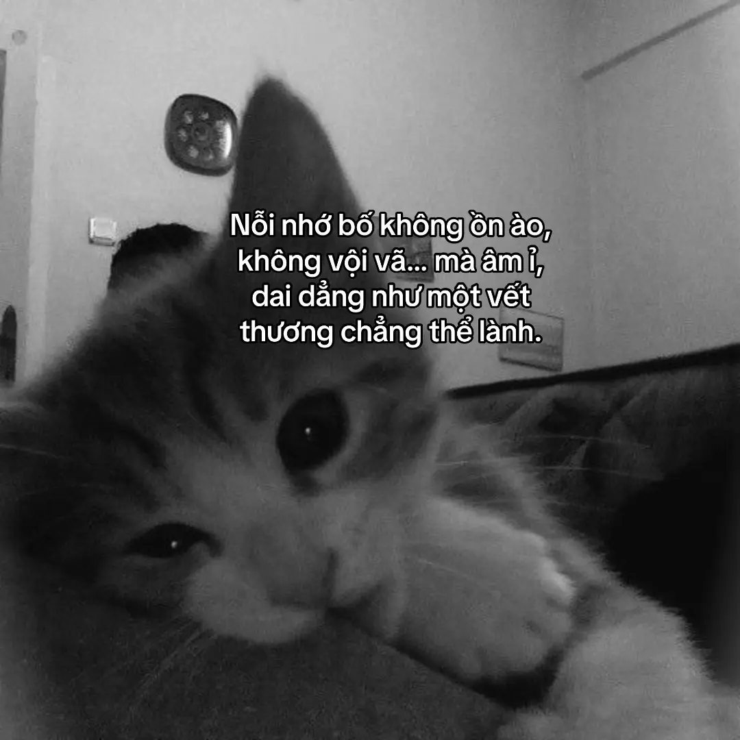 #nhobo #giadinhthanthuong #cuocsong #buon #xuhuongtiktok #viral #viral #xhhhhhhhhhhhhhhhhhhhhhhh 