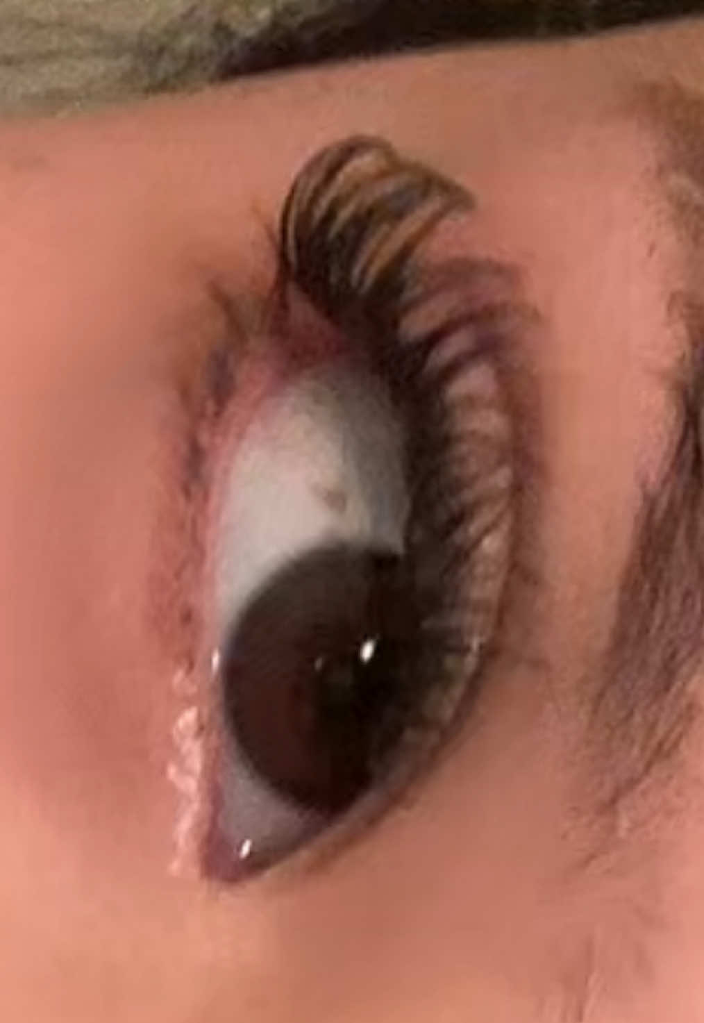 These were soo pretty my mom even approved of them🤭💕@Fadlash Beauty Shop #fadlashlashes #diylashes #waterproof #lashclusters 