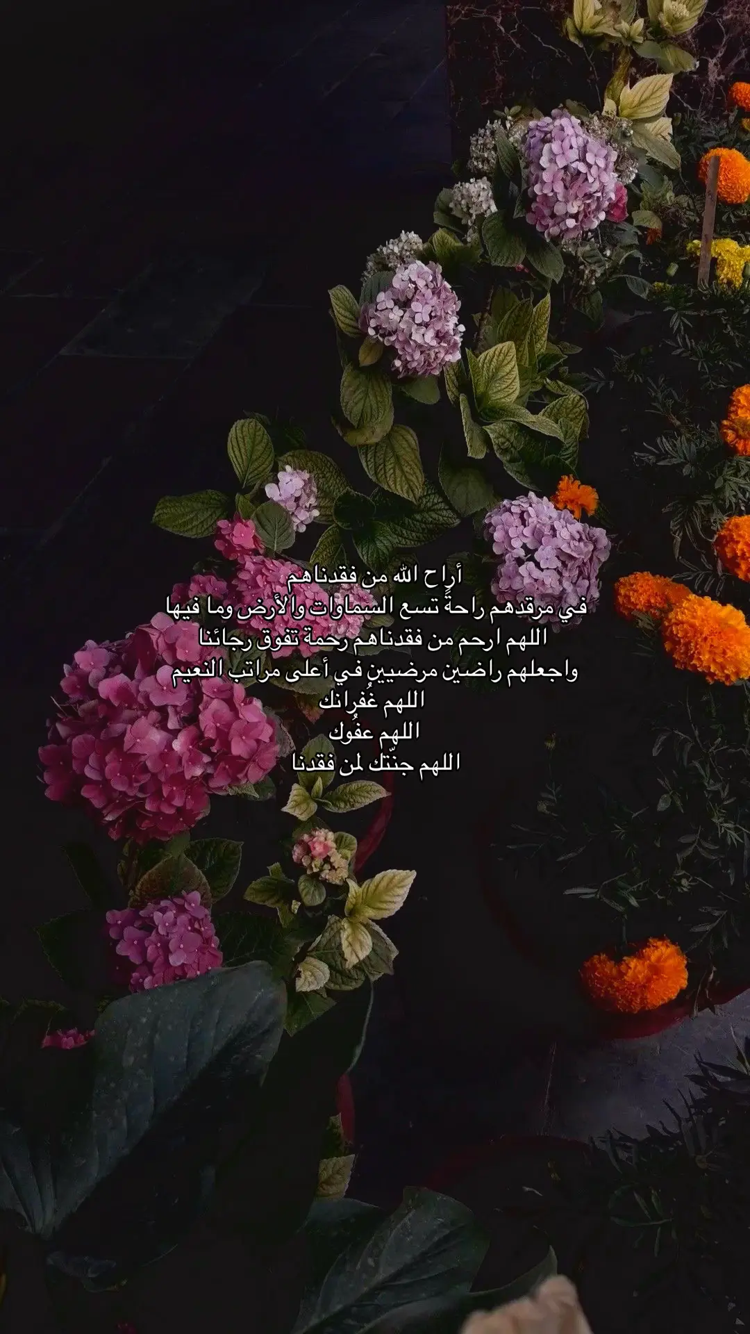ربِّ وسع لعبدالله في قبره و اجعله في نعيم لاينقطع  ‏وجميع أموات المسلمين